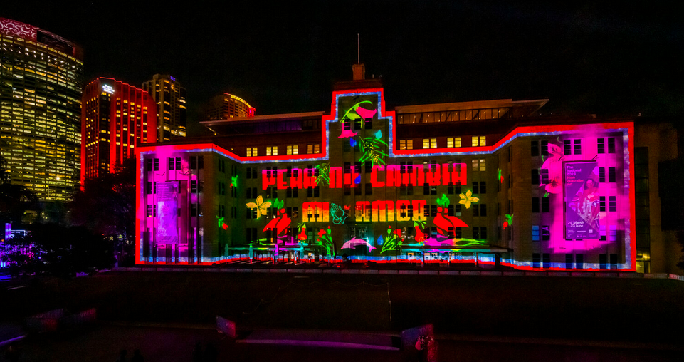 Spinifex and artist Claudia Nicholson create new immersive projection experience for Vivid Sydney