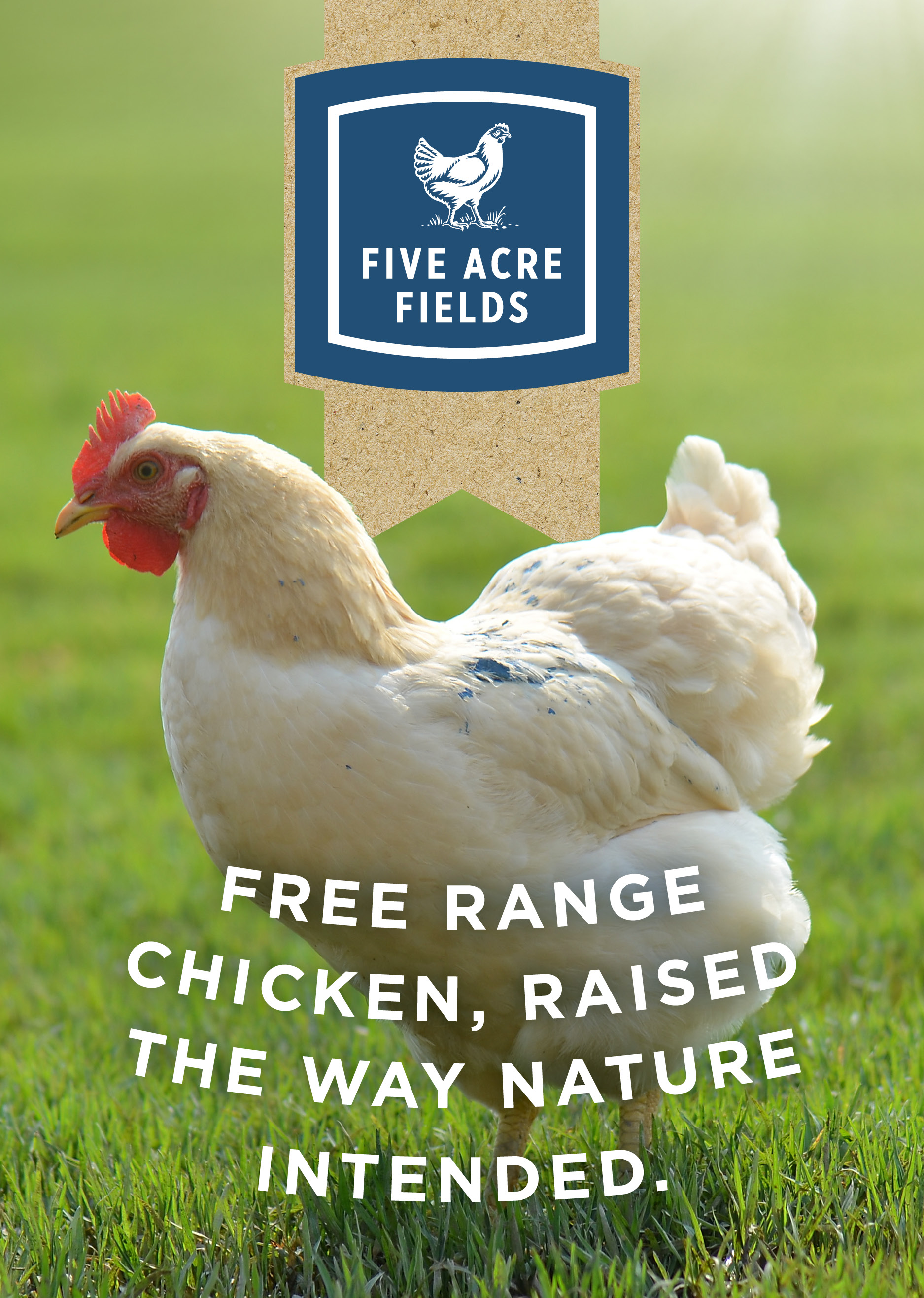 M & J Chickens appoints Melbourne agency Bellwether to handle ‘Five Acre Fields’ launch