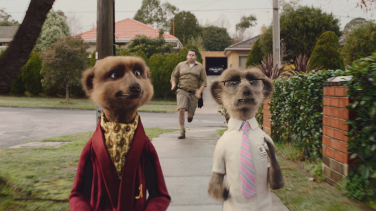 A case of mistaken identity sees the Compare The Market meerkats in the bush in new TVC via VCCP