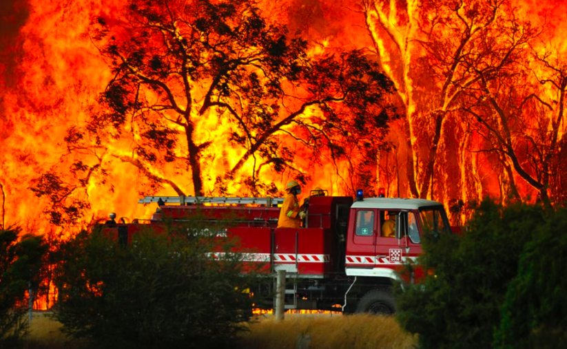 Creatives for Bushfires: Call out for agencies to come together to provide support to Australia’s bushfire impacted communities