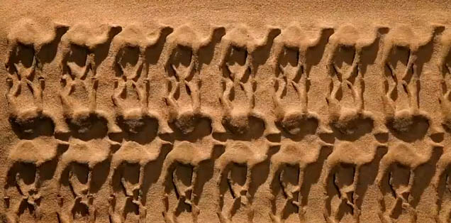 Ogilvy and Eeksaurus launch new Rajasthan Tourism logo using animated sand sculptures – Campaign Brief Asia Ogilvy and Eeksaurus launch new Rajasthan Tourism logo using animated sand sculptures – Campaign Brief Asia