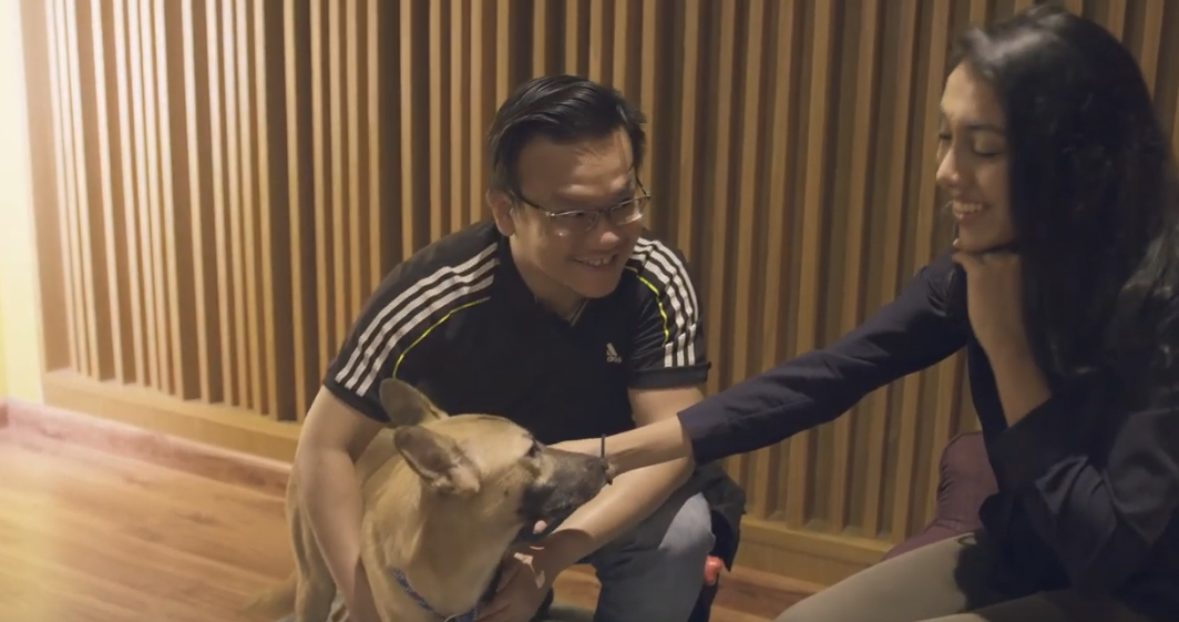 Edelman Singapore and CAS launch the perfect voiceovers film to increase understanding and adoption rates of local shelter dogs