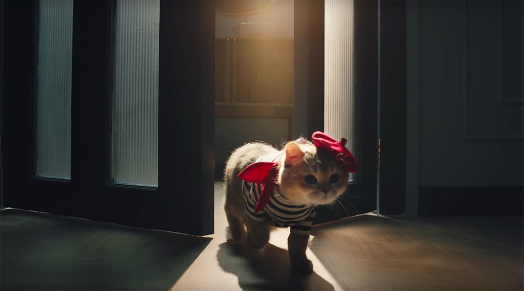 Cats star in new F5 Shanghai campaign to draw attention to the Midea Cube dehumidifier